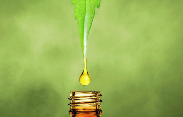 Does CBD oil get you high? We explore the facts - and the myths